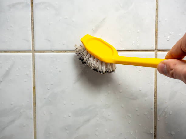 Best Fast Mold Removal  in Arcola, VA