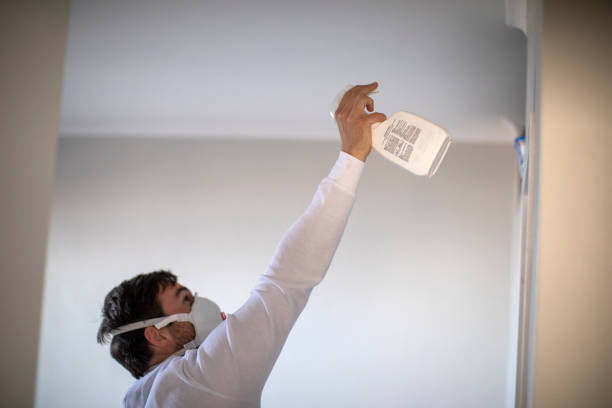 Best Mold Removal Company Near Me  in Arcola, VA