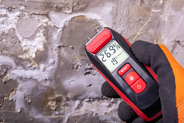 Attic Mold Removal in Arcola, VA