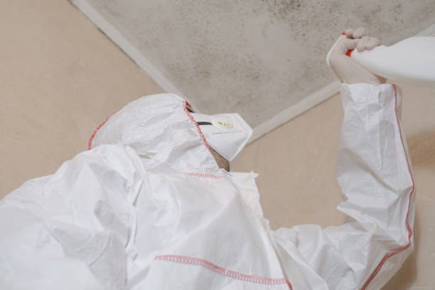 Best Mold Damage Repair  in Arcola, VA